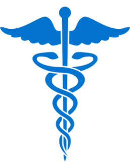 healthcare it support